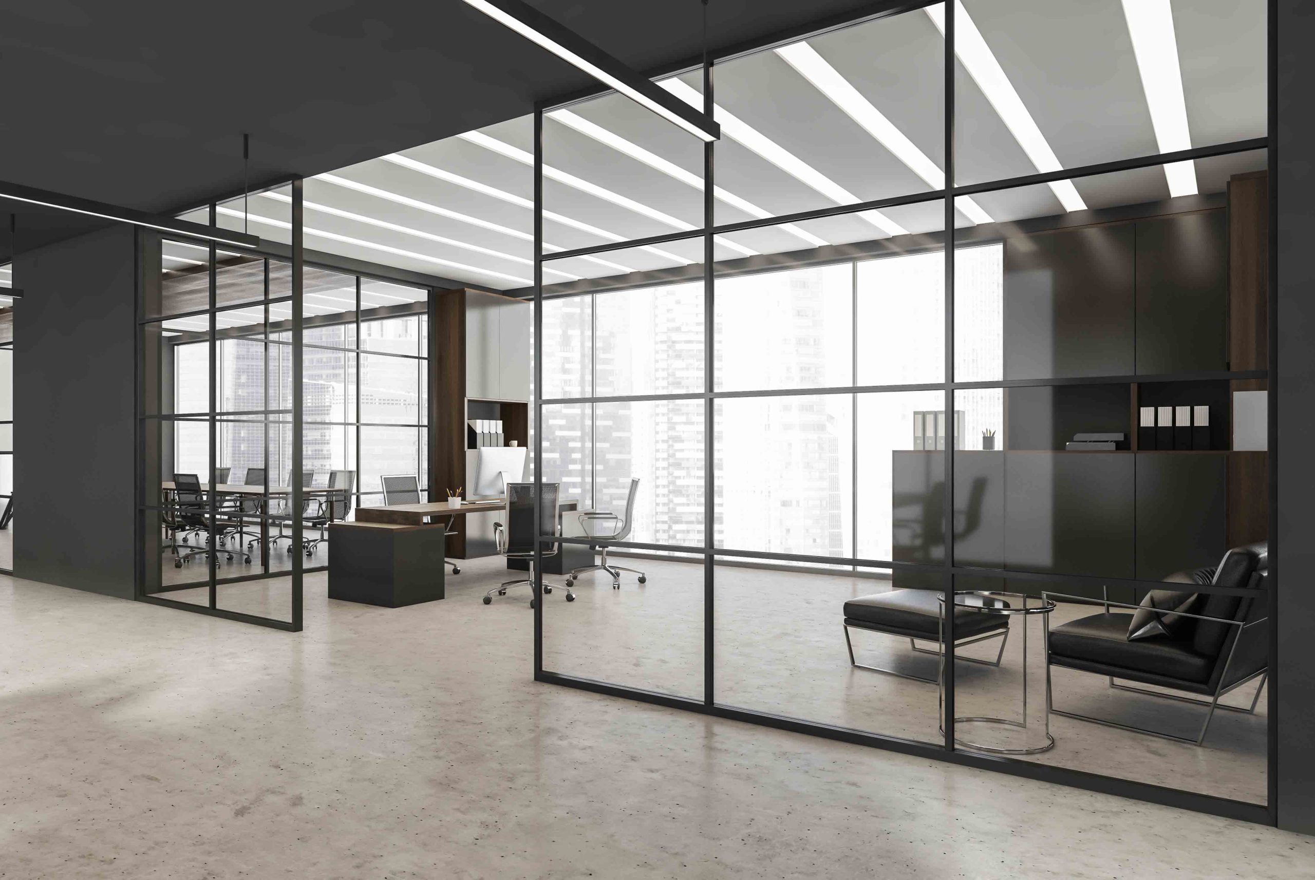 Grey CEO office interior with waiting area